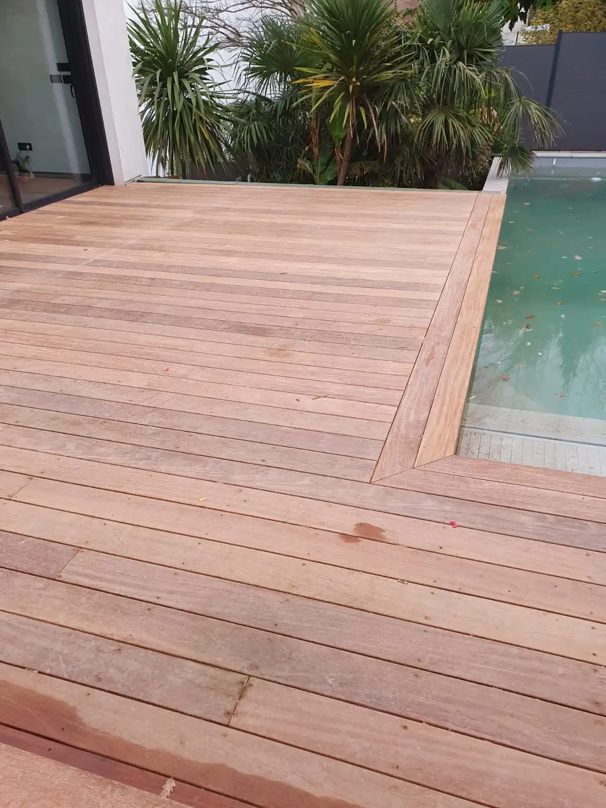 Terrasse en bois moderne et élégante autour d'une piscine avec des plantes en arrière-plan